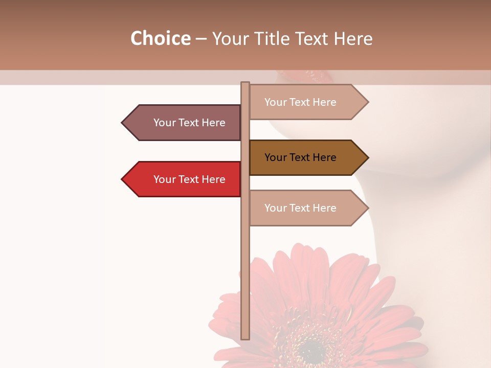 Lady Face  PowerPoint Template