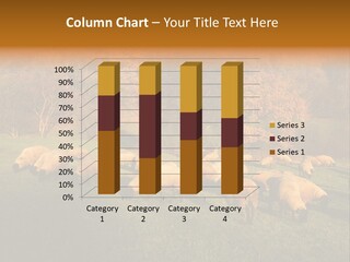 Tree Sheep Farm PowerPoint Template