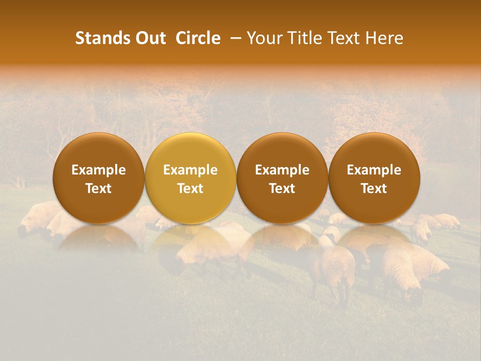 Tree Sheep Farm PowerPoint Template