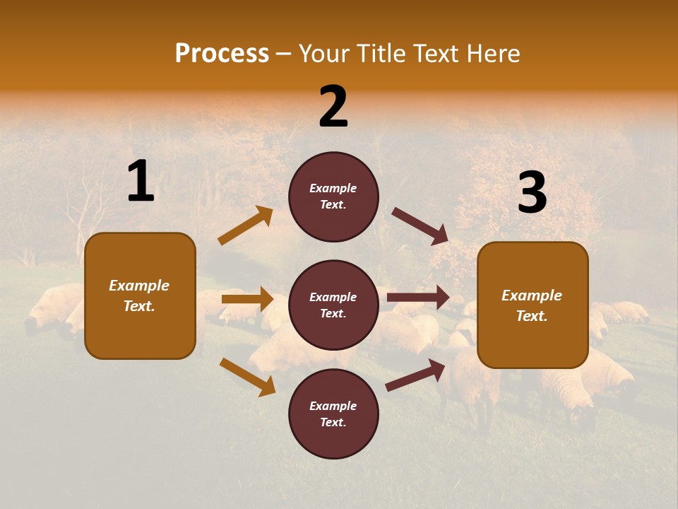 Tree Sheep Farm PowerPoint Template