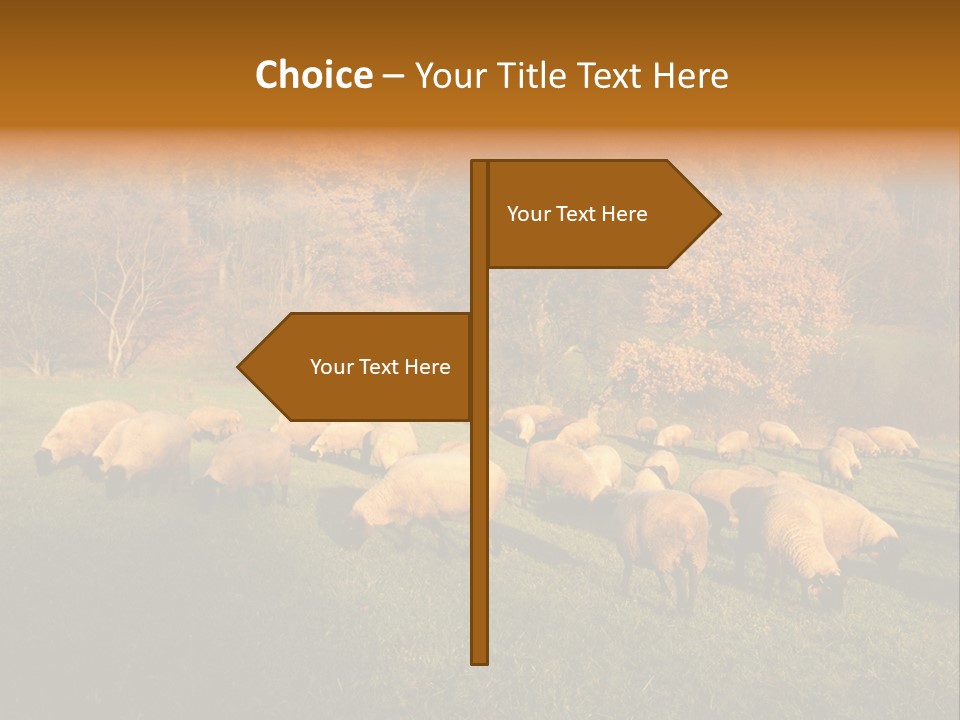 Tree Sheep Farm PowerPoint Template