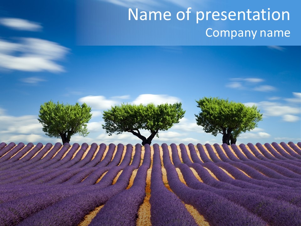 Nature Cloud France PowerPoint Template
