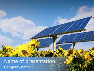 Sunlight Current Electricity PowerPoint Template