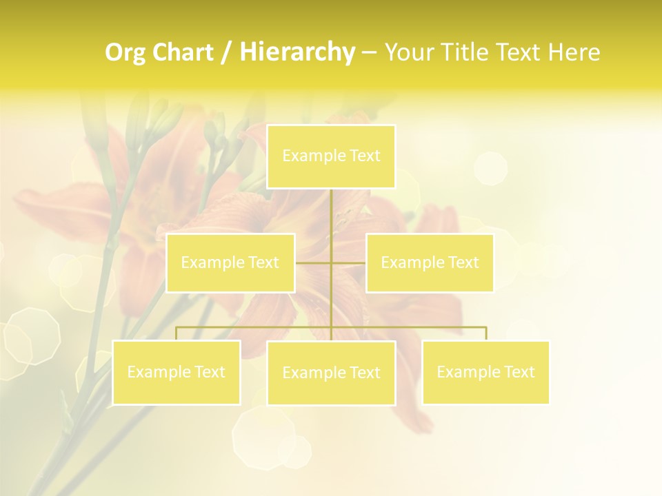 Template Lilly Passion PowerPoint Template