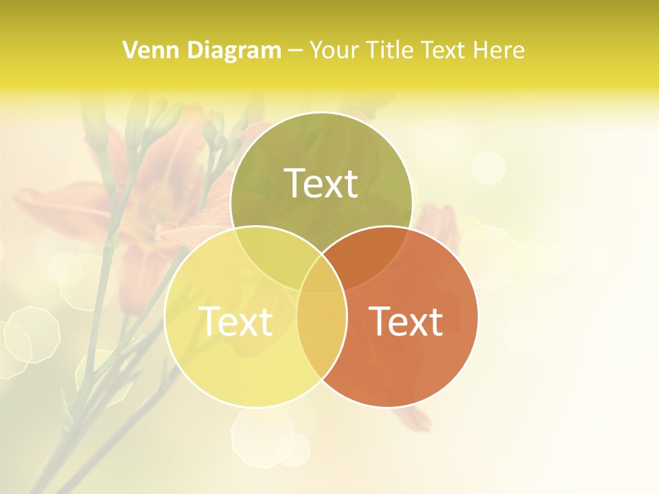 Template Lilly Passion PowerPoint Template