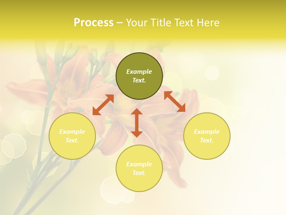Template Lilly Passion PowerPoint Template
