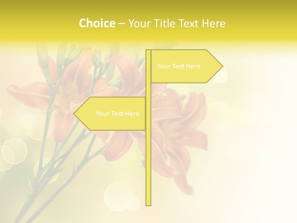 Template Lilly Passion PowerPoint Template