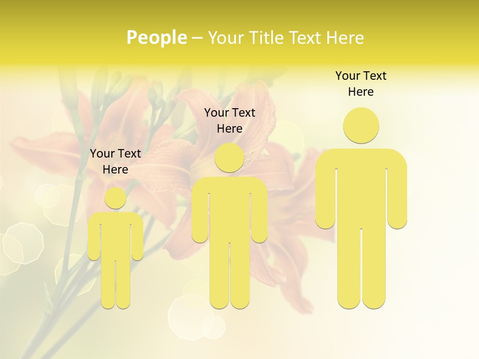 Template Lilly Passion PowerPoint Template