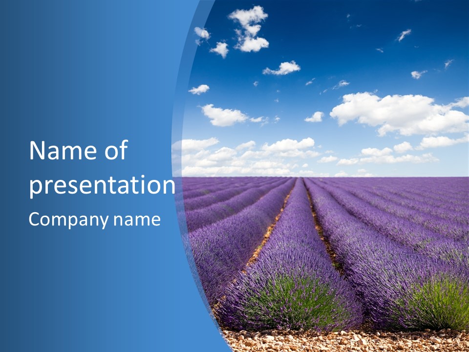 French Pretty Hill PowerPoint Template