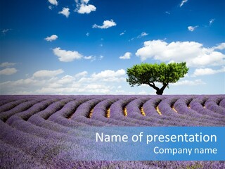 Bouquet Field Plant PowerPoint Template