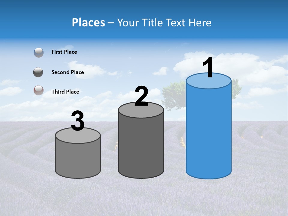 Bouquet Field Plant PowerPoint Template