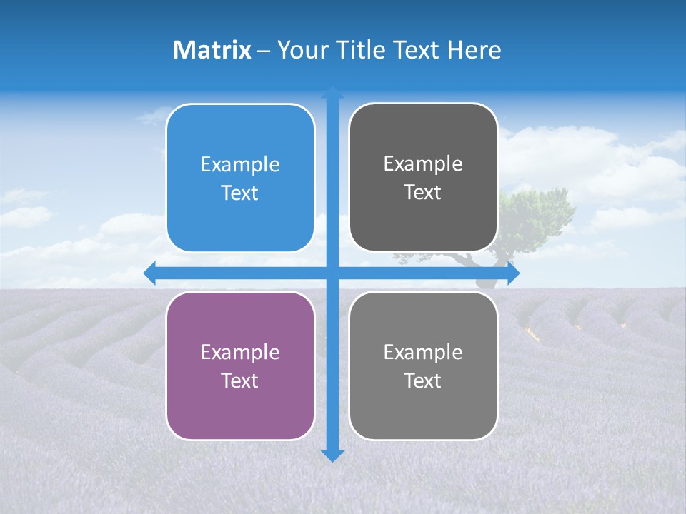 Bouquet Field Plant PowerPoint Template