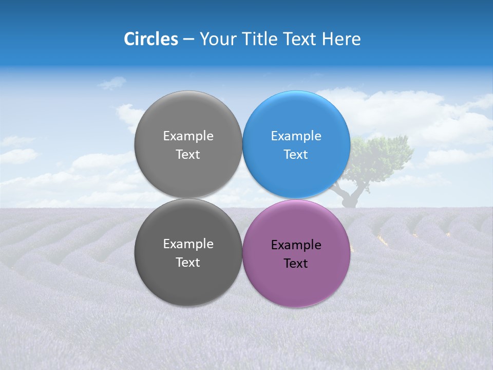 Bouquet Field Plant PowerPoint Template