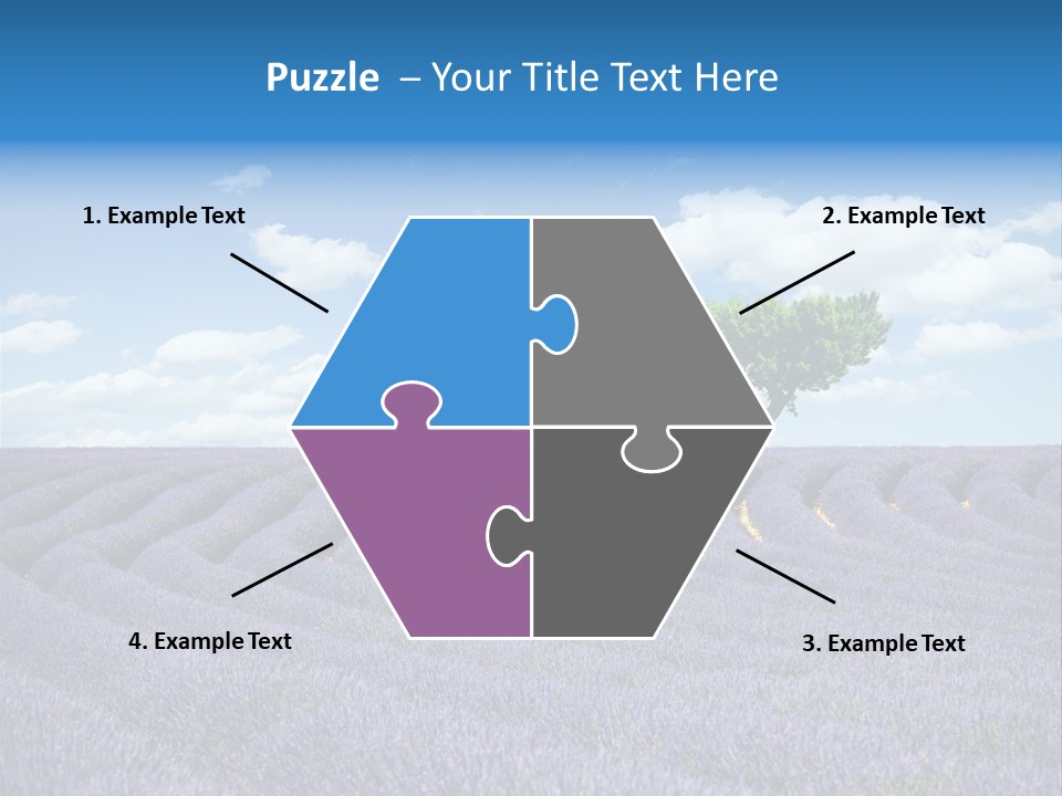Bouquet Field Plant PowerPoint Template