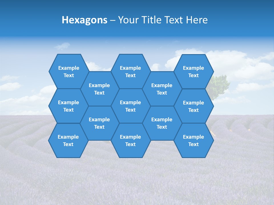 Bouquet Field Plant PowerPoint Template