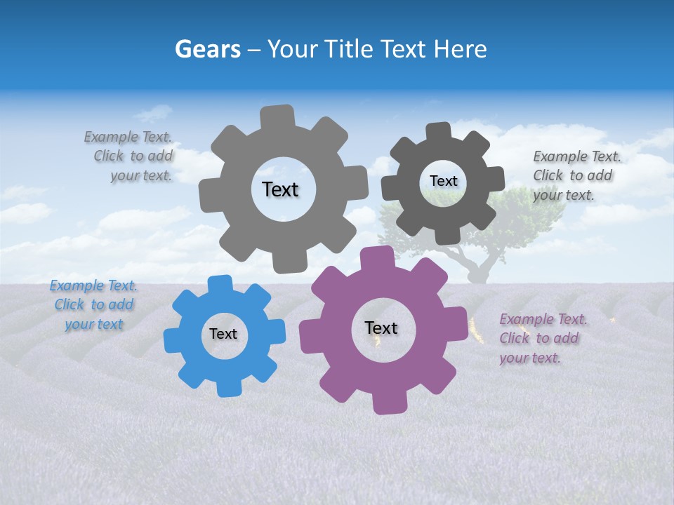Bouquet Field Plant PowerPoint Template