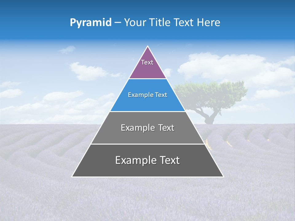 Bouquet Field Plant PowerPoint Template
