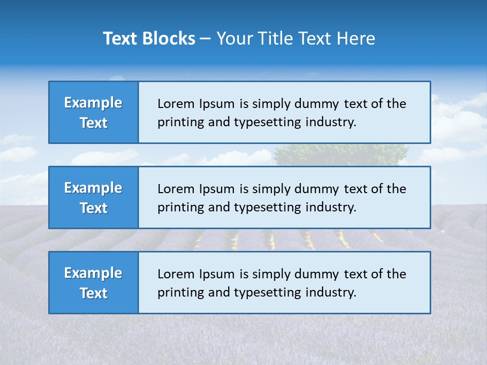 Bouquet Field Plant PowerPoint Template