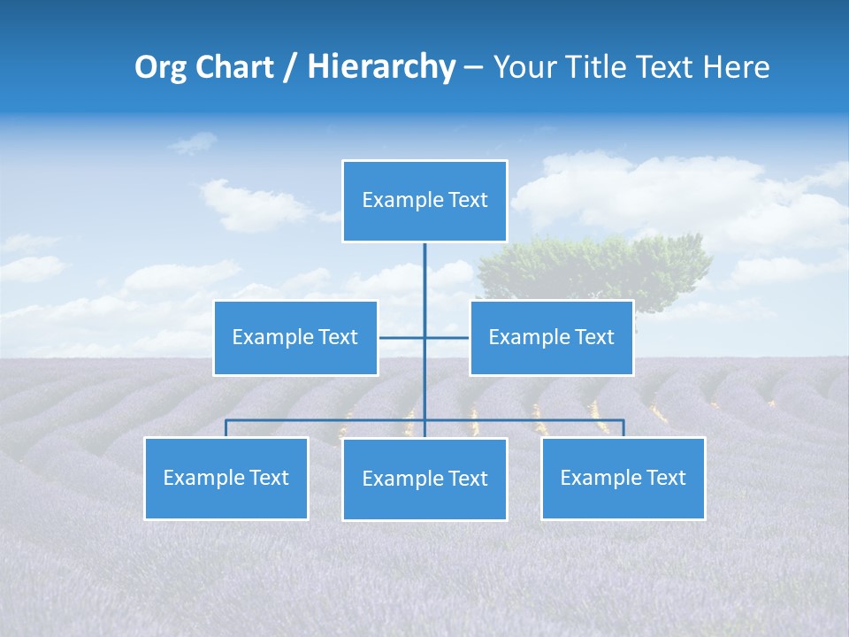 Bouquet Field Plant PowerPoint Template