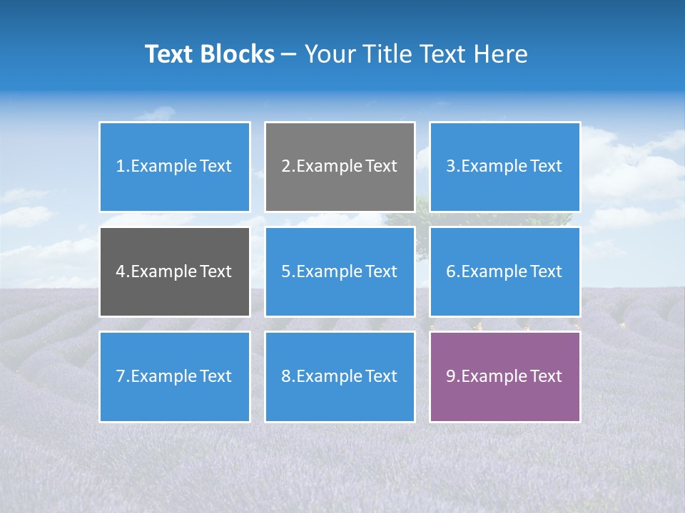 Bouquet Field Plant PowerPoint Template