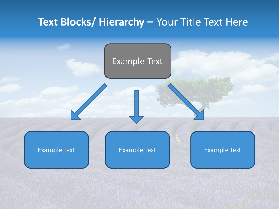 Bouquet Field Plant PowerPoint Template