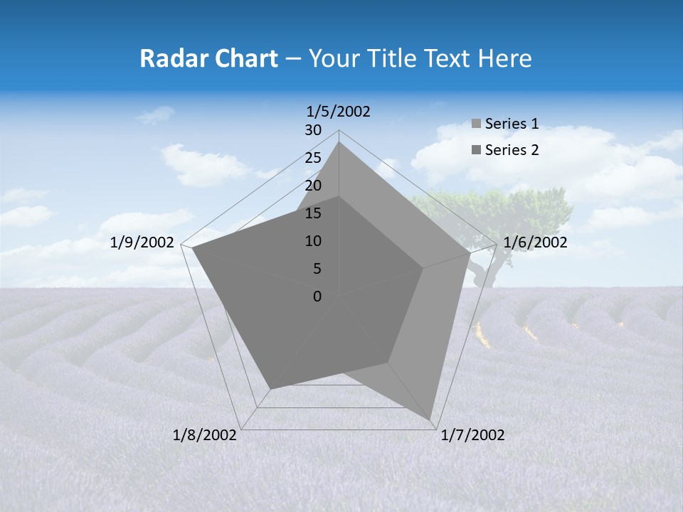 Bouquet Field Plant PowerPoint Template