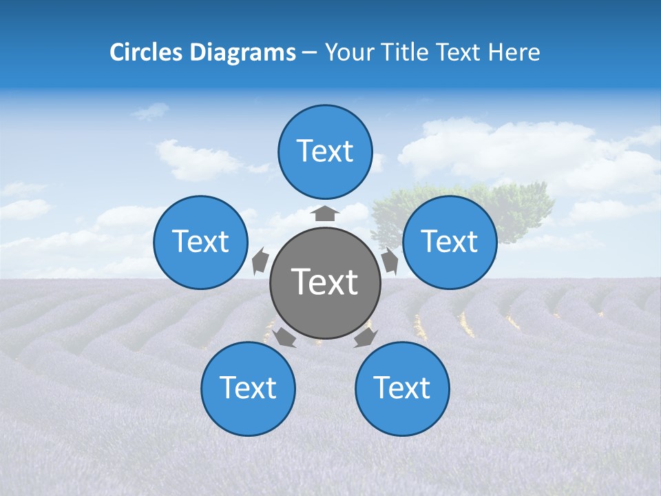 Bouquet Field Plant PowerPoint Template