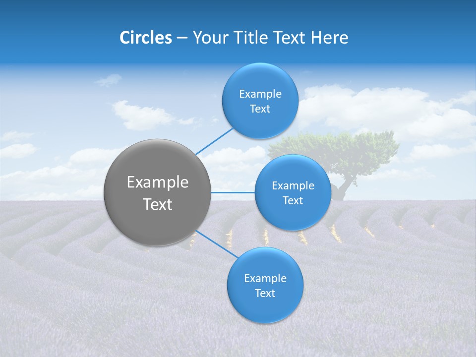 Bouquet Field Plant PowerPoint Template