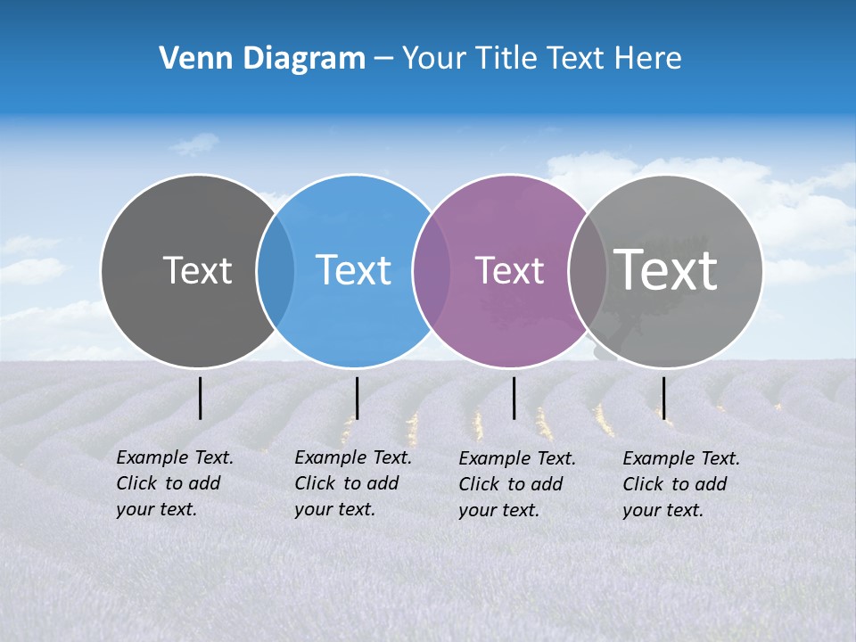 Bouquet Field Plant PowerPoint Template