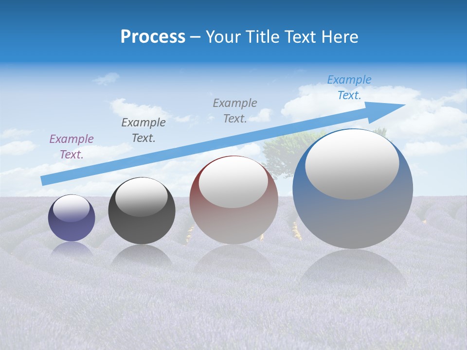Bouquet Field Plant PowerPoint Template