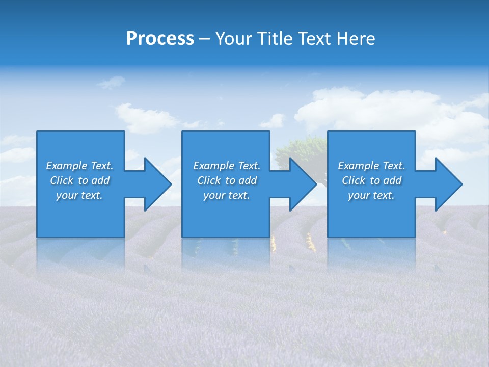 Bouquet Field Plant PowerPoint Template