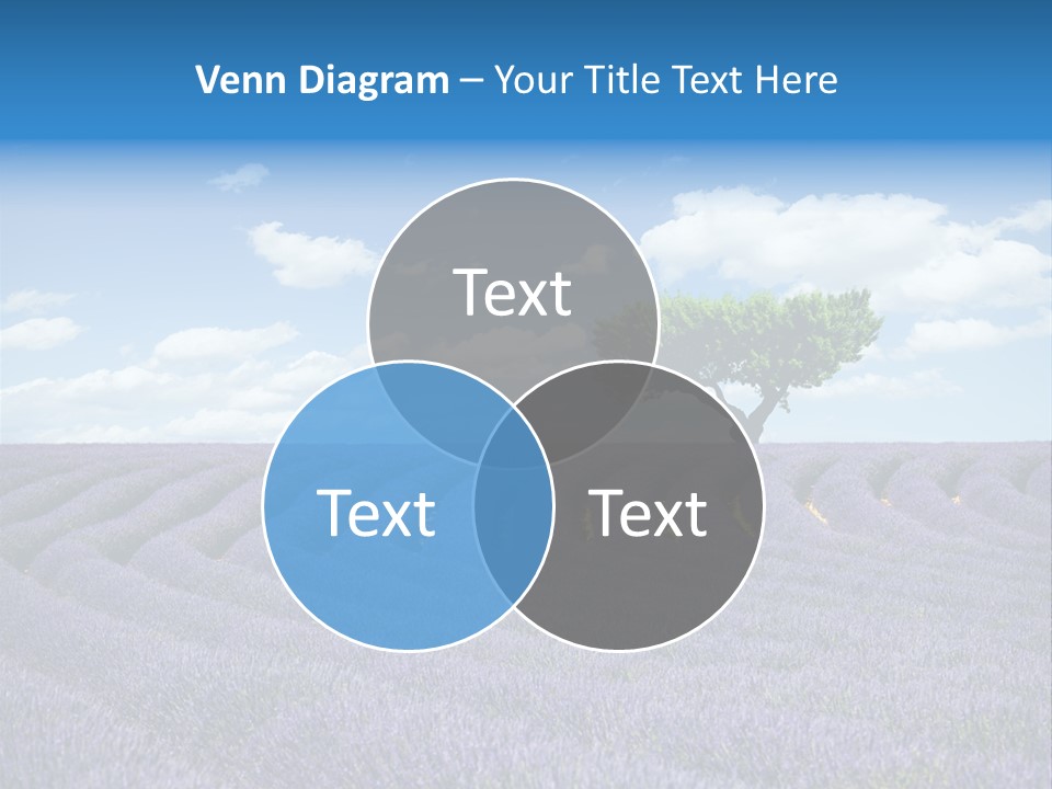 Bouquet Field Plant PowerPoint Template
