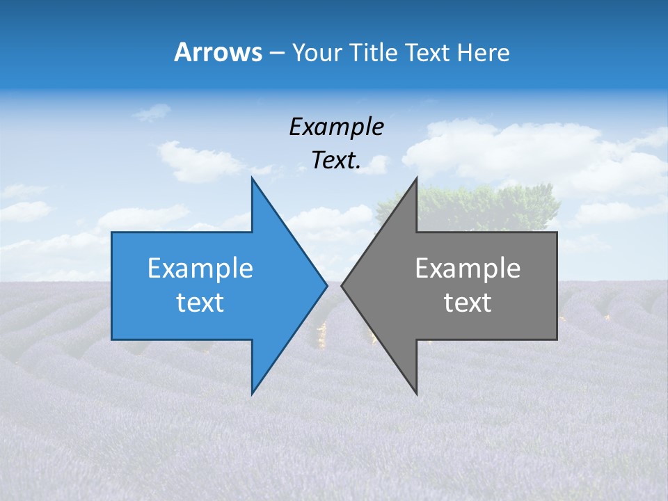 Bouquet Field Plant PowerPoint Template