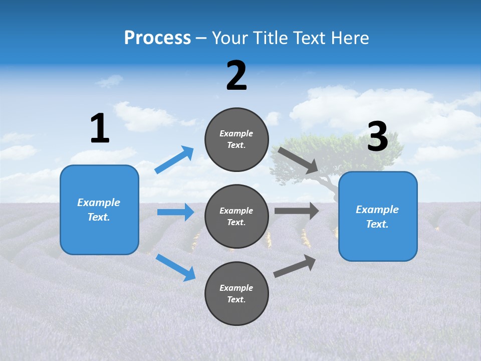 Bouquet Field Plant PowerPoint Template