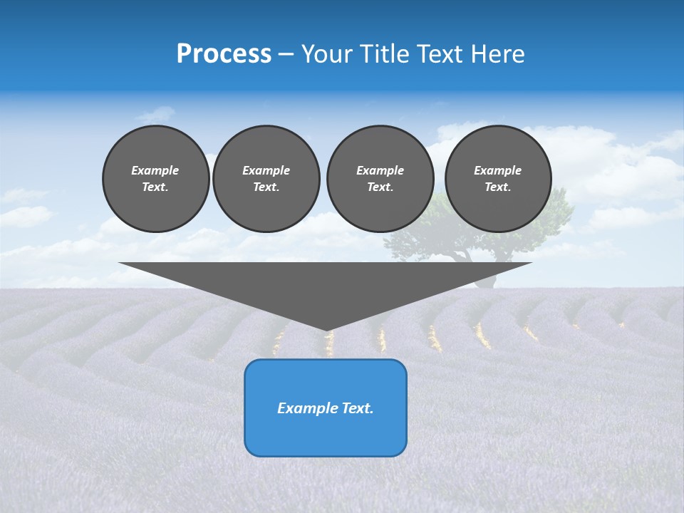 Bouquet Field Plant PowerPoint Template