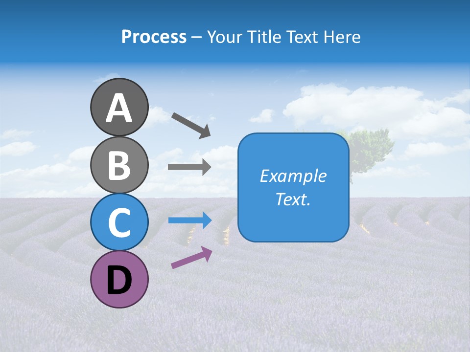 Bouquet Field Plant PowerPoint Template