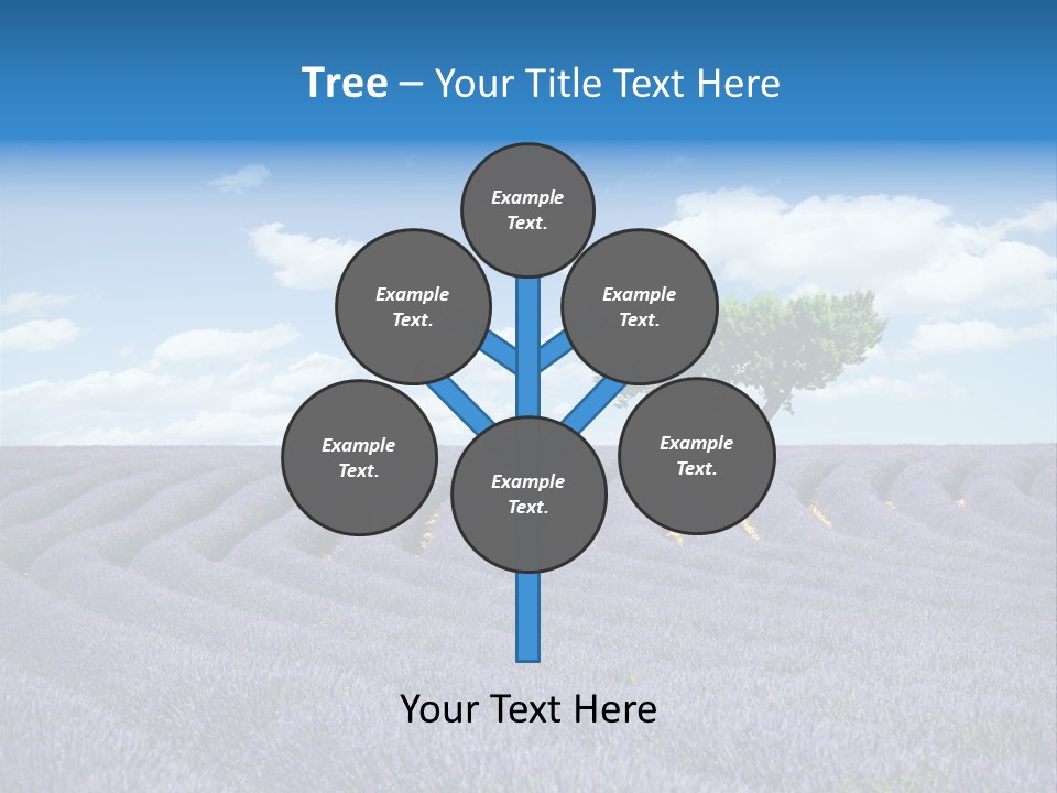 Bouquet Field Plant PowerPoint Template