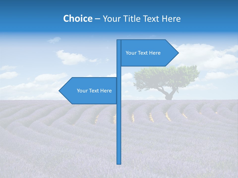 Bouquet Field Plant PowerPoint Template