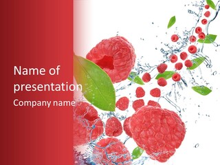 Fall Dew Coconut PowerPoint Template