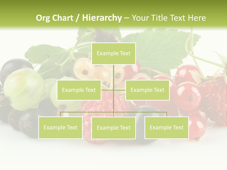 Berry Juicy Horizontal PowerPoint Template