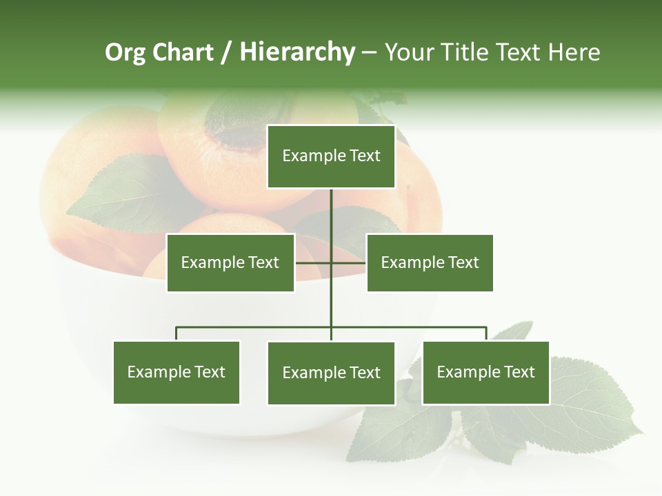 Fragment Diet Fruit PowerPoint Template