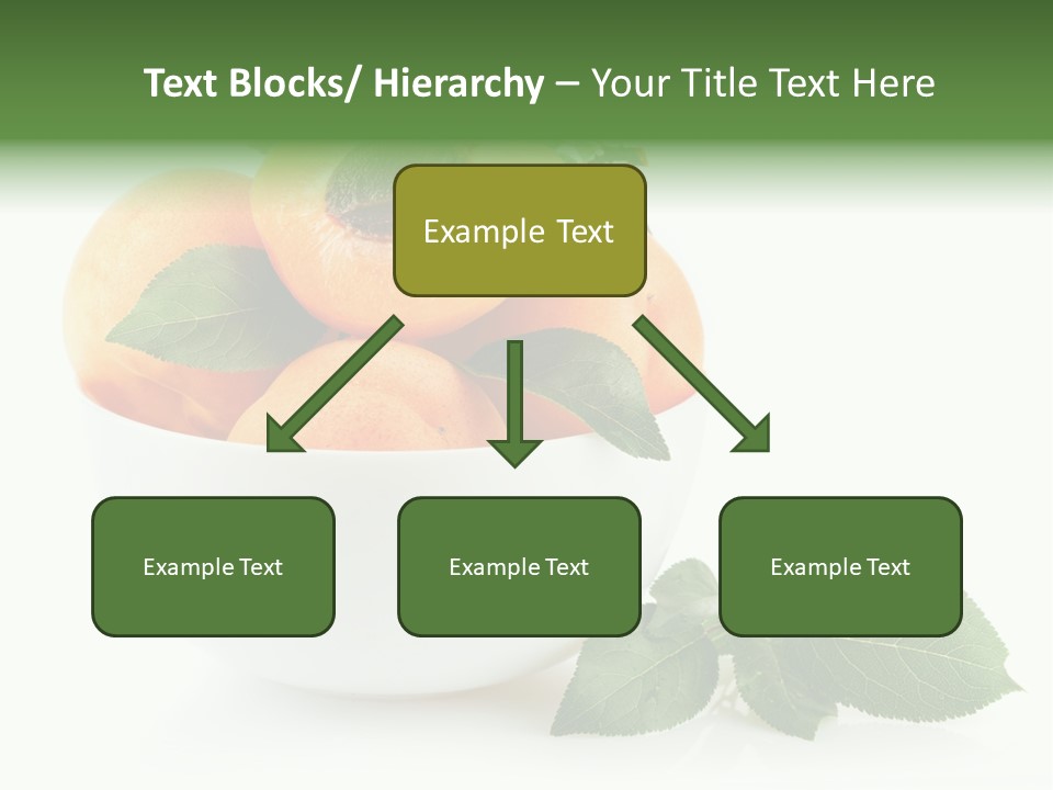 Fragment Diet Fruit PowerPoint Template
