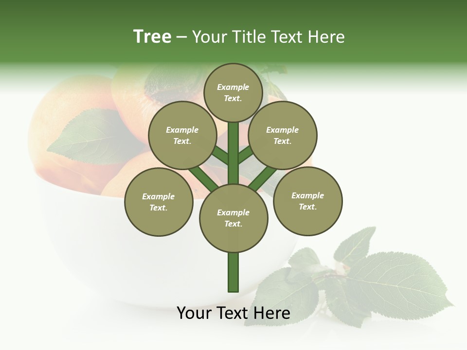 Fragment Diet Fruit PowerPoint Template