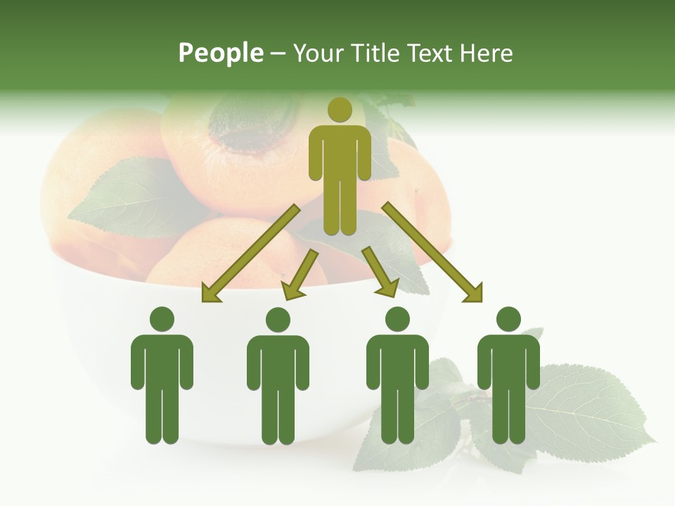 Fragment Diet Fruit PowerPoint Template