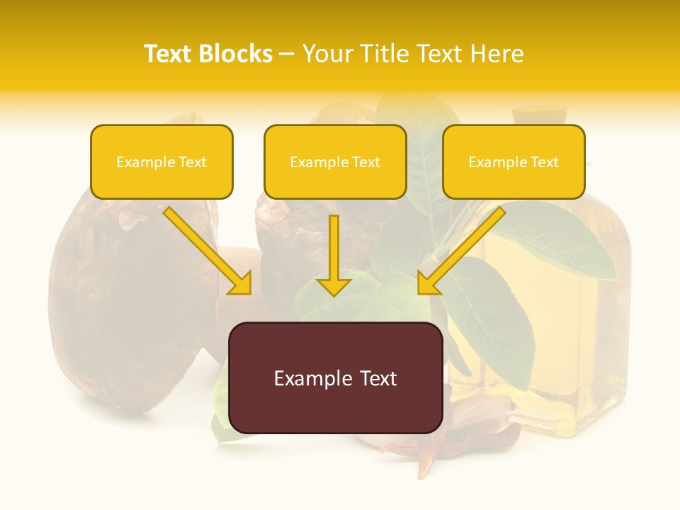 Beautiful Hand Skin PowerPoint Template