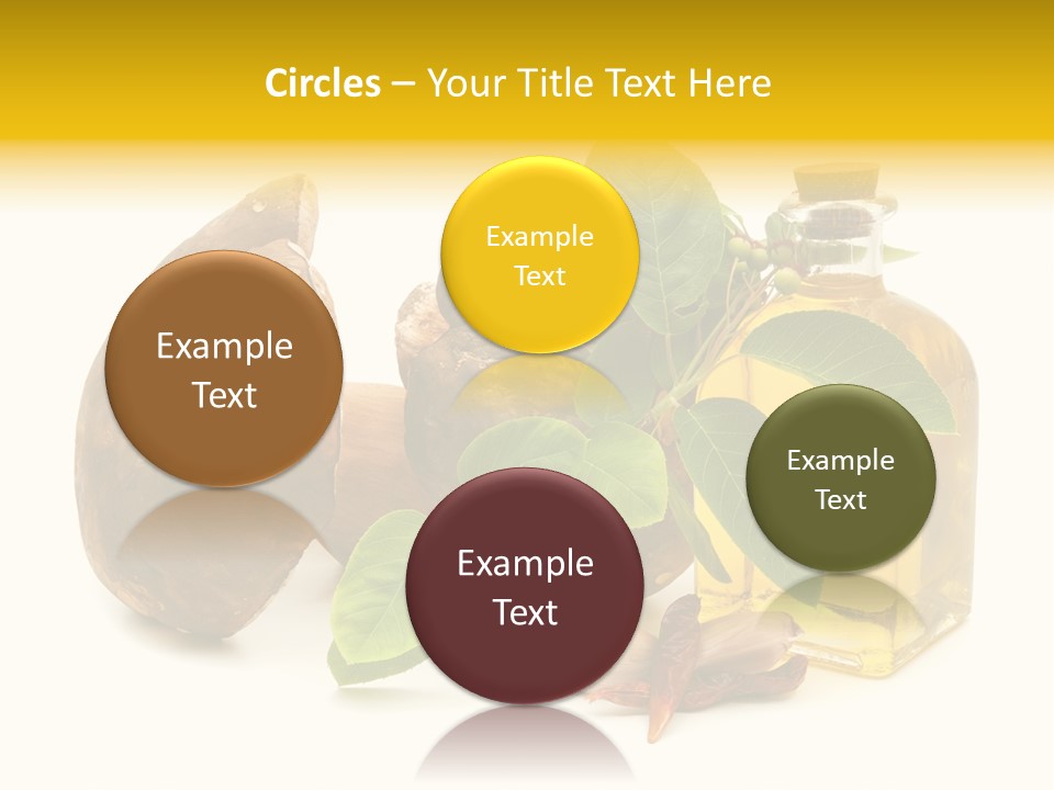 Beautiful Hand Skin PowerPoint Template