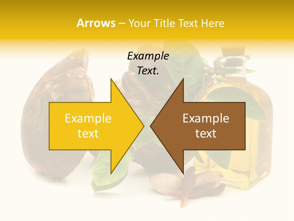 Beautiful Hand Skin PowerPoint Template