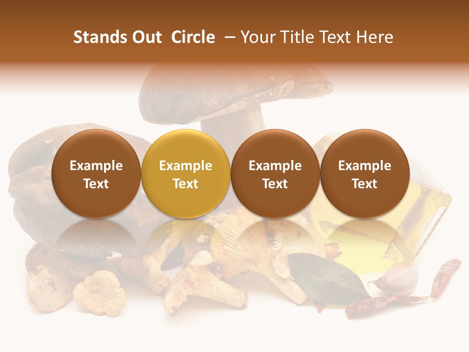 Oil White Beauty PowerPoint Template