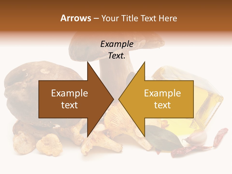 Oil White Beauty PowerPoint Template