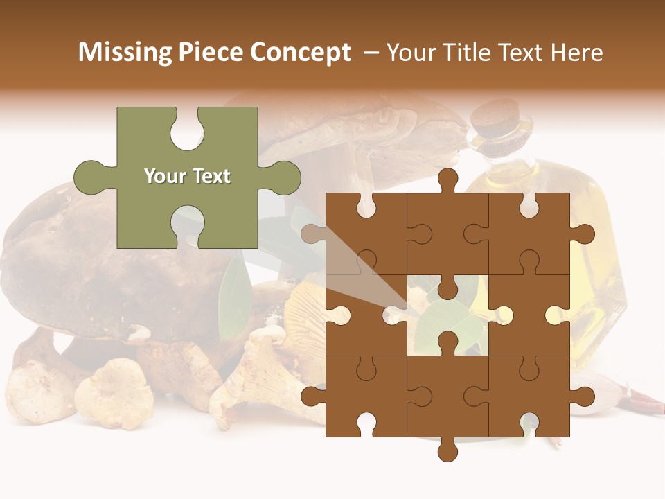 Beauty Isolated Orange PowerPoint Template